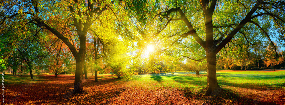 风景公园的秋天景色绚丽多彩，太阳位于中间，投下阳光