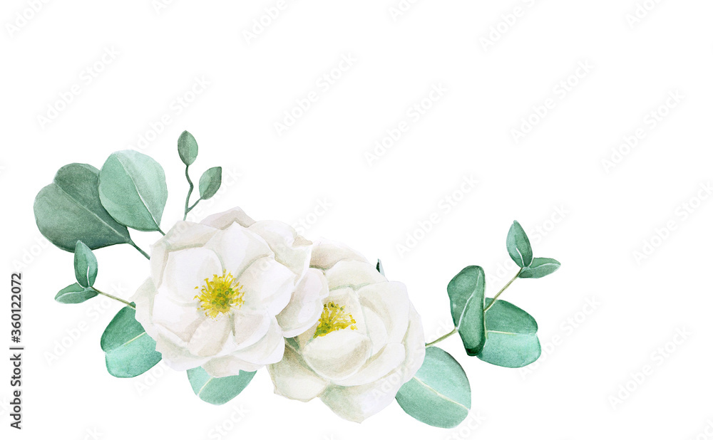 水彩画。框架，渐晕的桉树叶子和花朵。精致的白色玫瑰果画