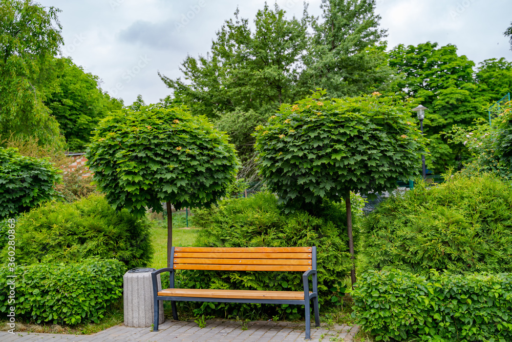 郁郁葱葱的绿色花园，有石头景观、灌木树篱和长椅。春天和夏天的景色。