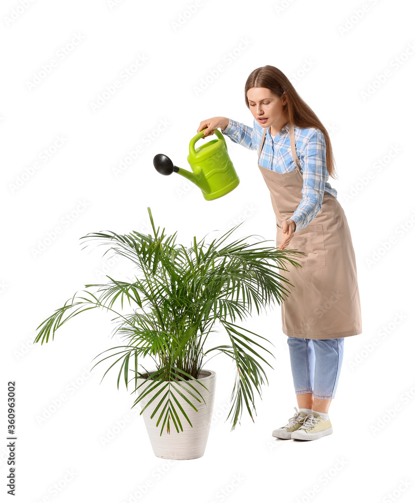 白色背景下带着喷壶和室内植物的年轻女子