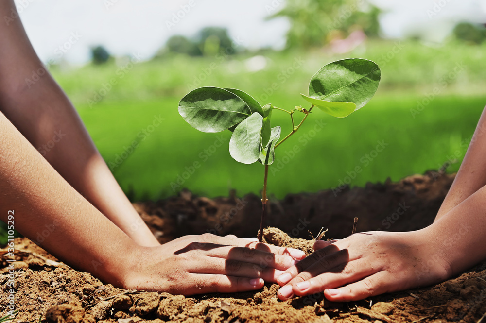人们帮助在大自然中植树，以拯救地球。环境生态理念