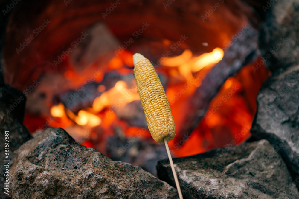 在篝火上烤棍子上的甜玉米。