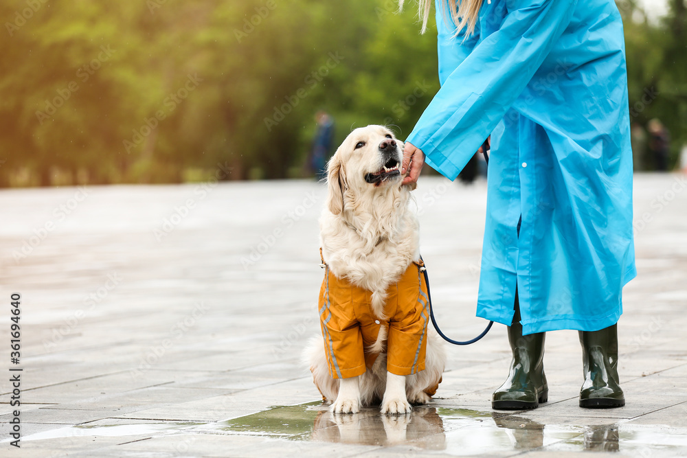 有趣的狗和穿着雨衣的主人在户外散步