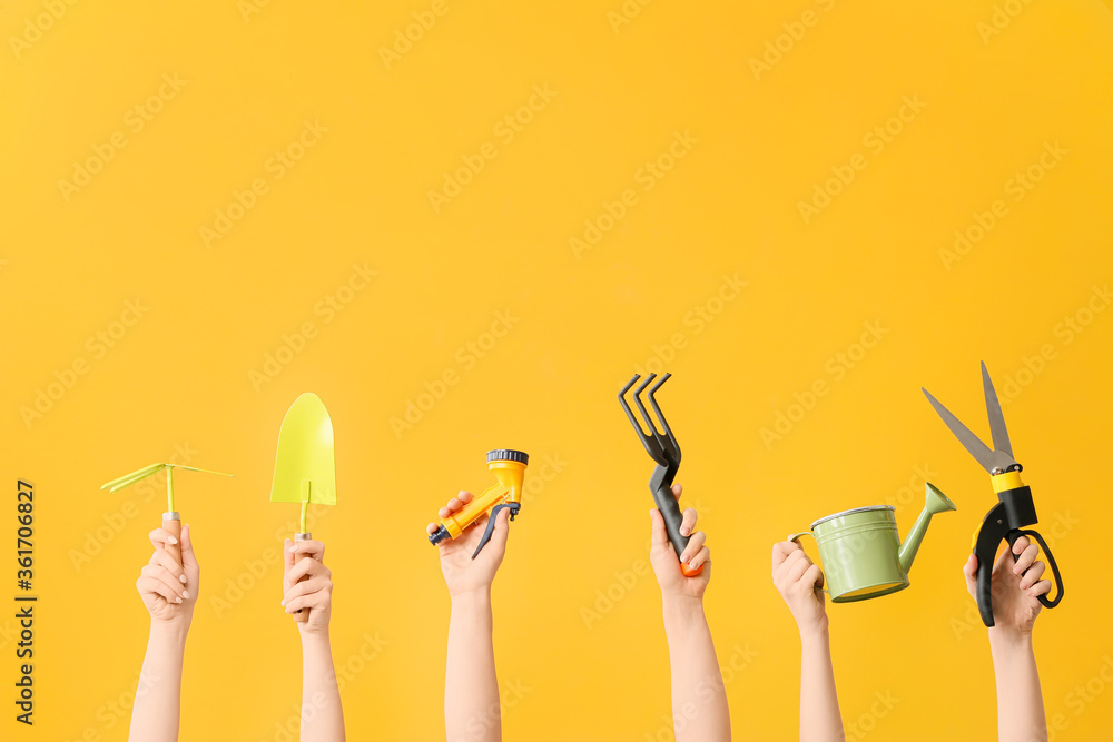 女性手持彩色背景的园艺工具