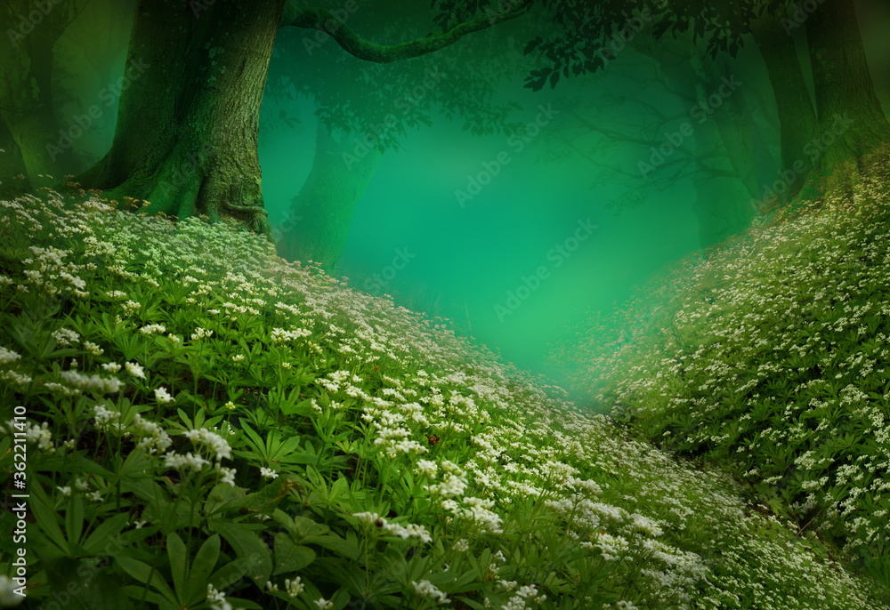 童话森林景观，两座青山开满了白色野花，绿松石薄雾笼罩