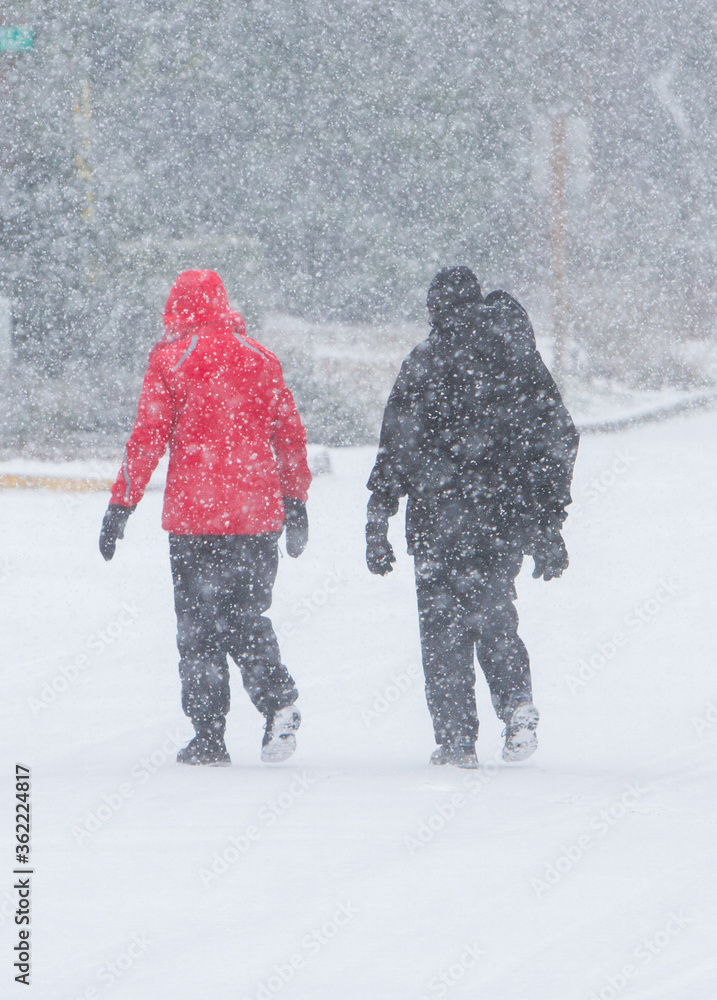 两名妇女在暴风雪中穿过街道（空气中出现雪花），在一个住宅区