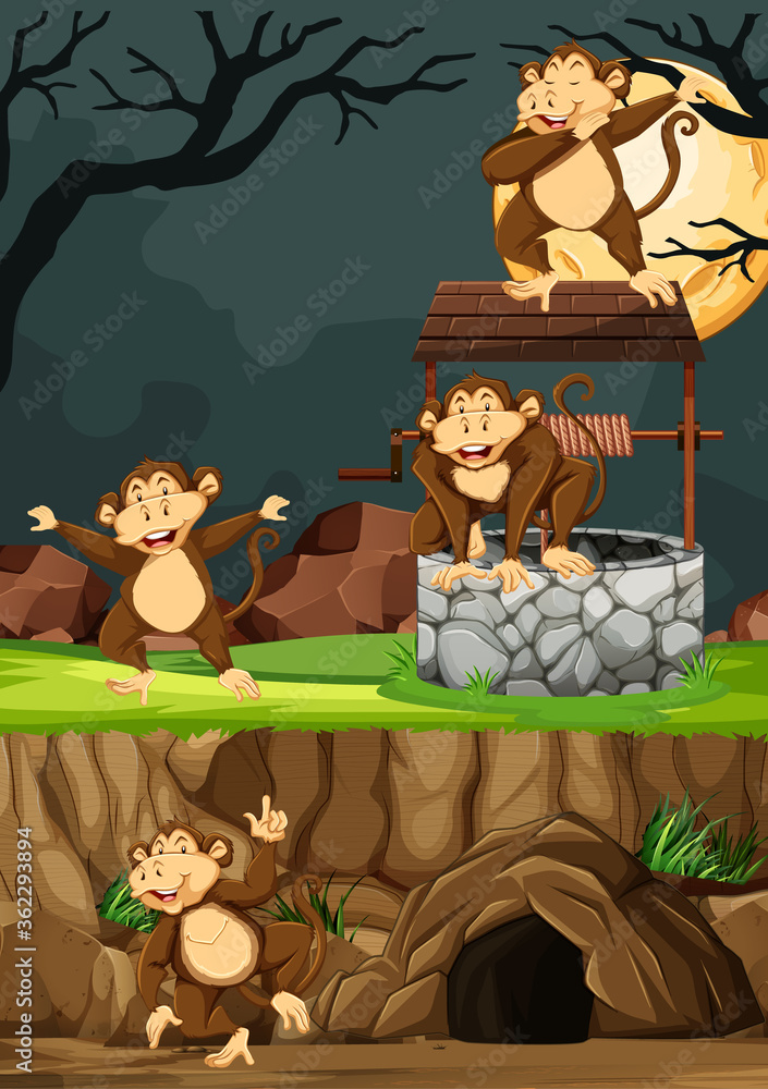 野生猴子在夜间背景下以动物公园卡通风格摆出多个姿势