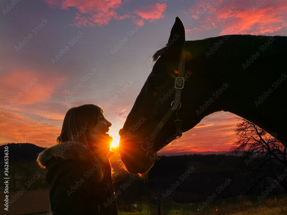 特写：金色的阳光照在女孩身上，她微笑着看着马的眼睛