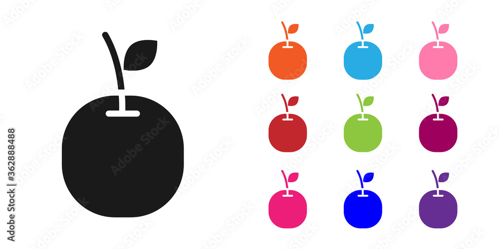 黑苹果图标隔离在白色背景上。带叶子的水果符号。将图标设置为彩色。矢量Il