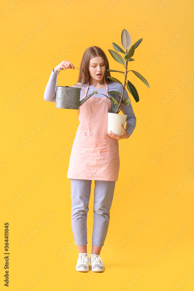 年轻的女人，带着喷壶和彩色背景的室内植物