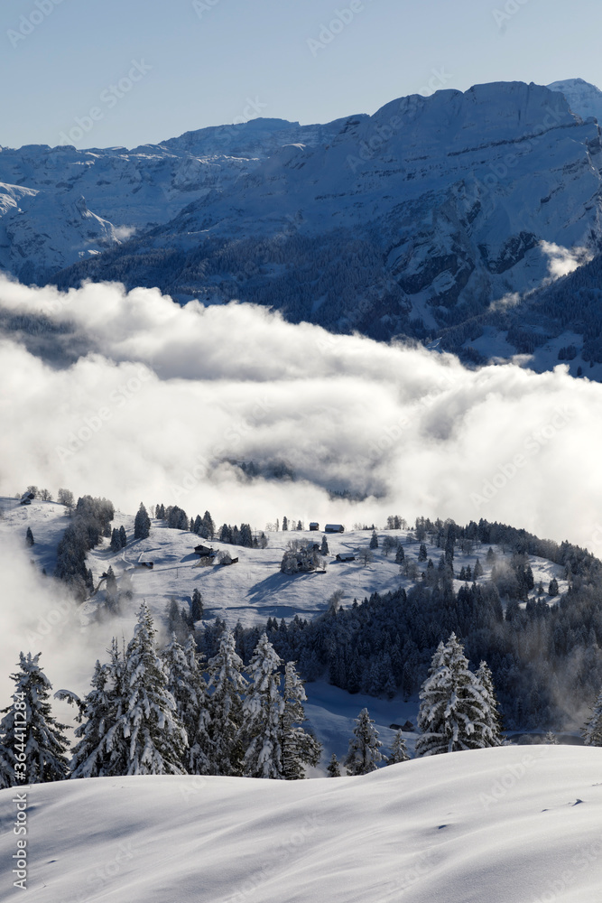 冬季景观，瑞士中部的伊贝尔格雷格和穆塔塔尔有雾