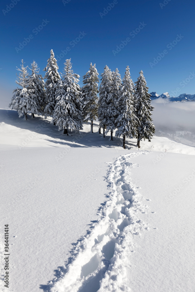 瑞士中部施韦兹州罗滕富特的冬季徒步旅行路线