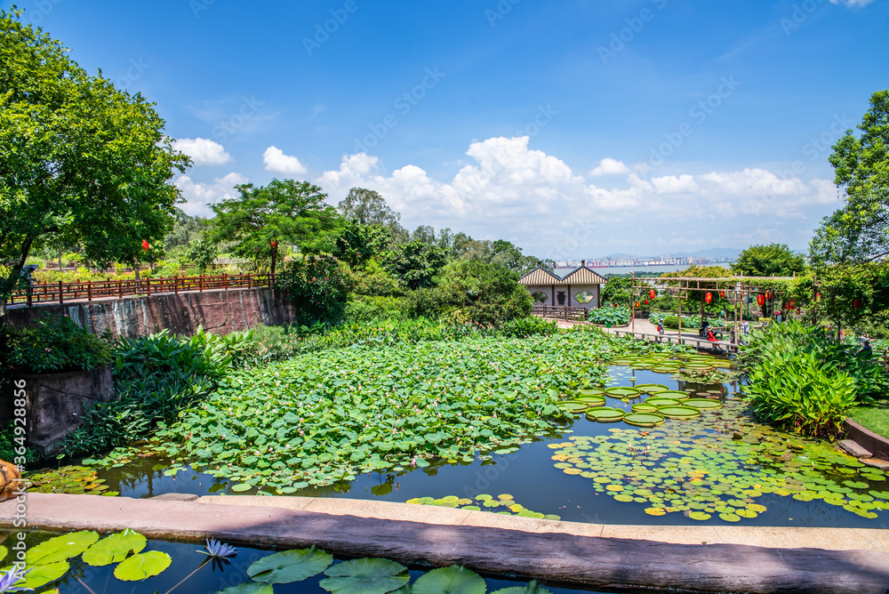 Lotus Pond, Lianhuashan Park, Panyu, Guangzhou, China