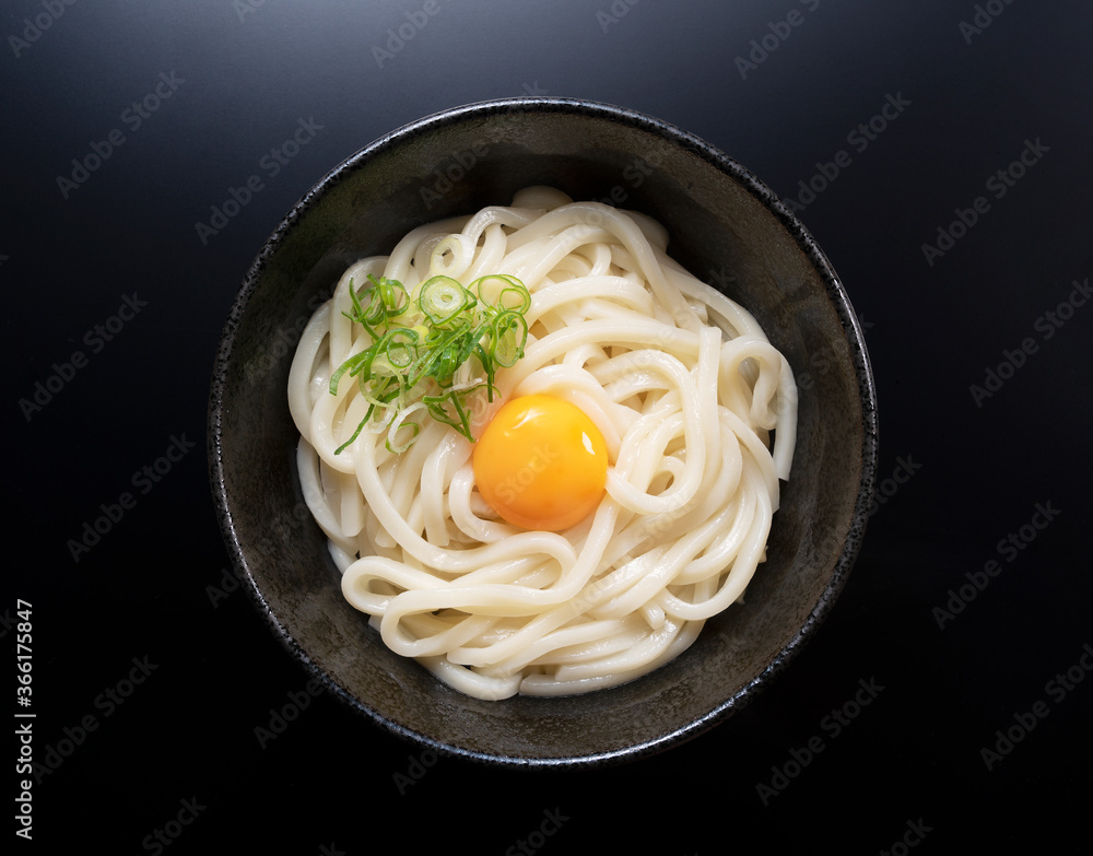 Japanese Ingredients.Warm Udon Noodles