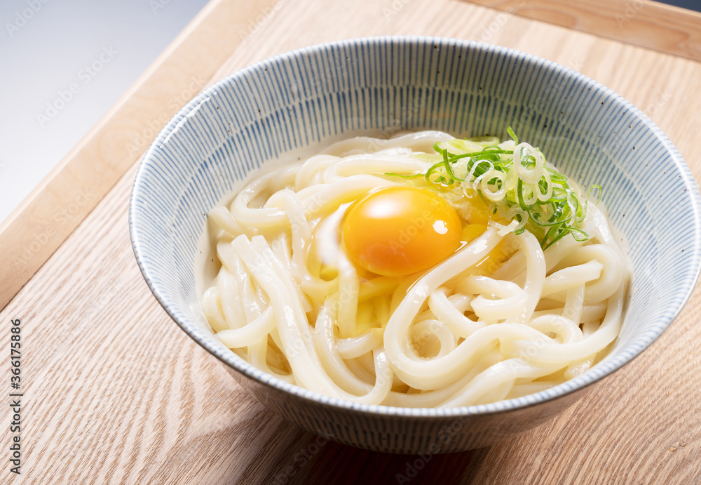 Japanese Ingredients.Cold Udon Noodles