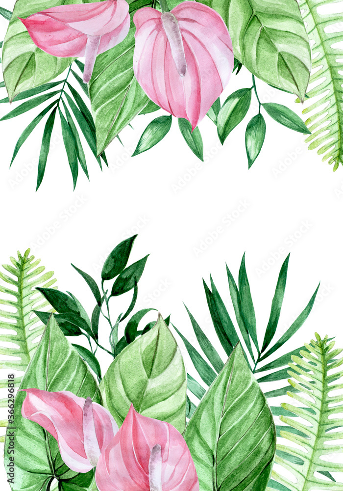水彩画，框架，热带树叶和花朵边界。粉色卡拉花，棕榈叶在w上