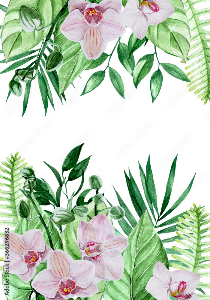 水彩画框，热带树叶和花朵的边界。粉色兰花花，棕榈叶在白色ba上