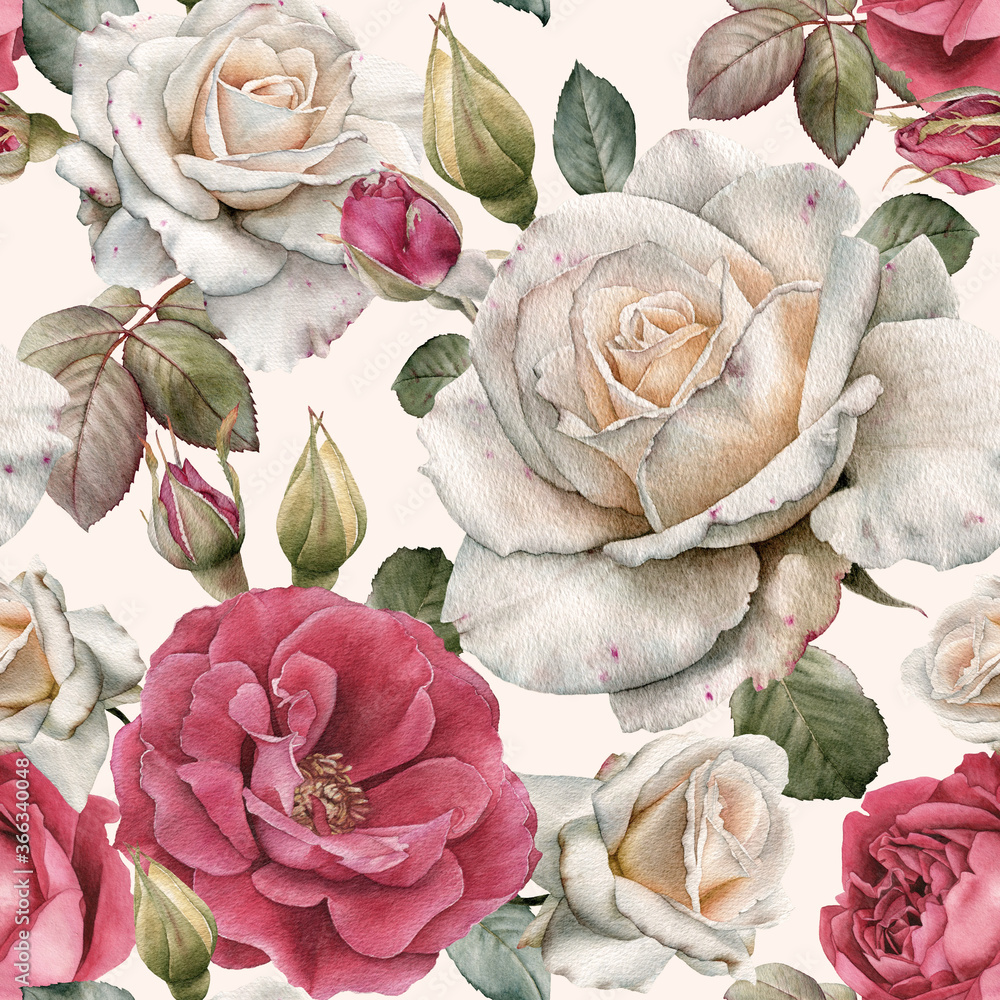 水彩白色和粉色玫瑰的花朵无缝图案
