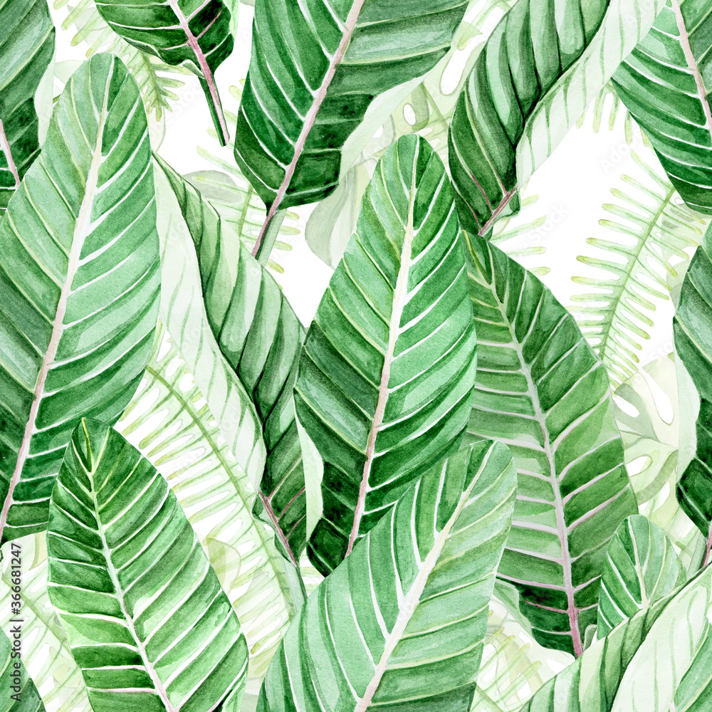 水彩画，无缝图案。白色背景上的绿色热带树叶。棕榈叶tr