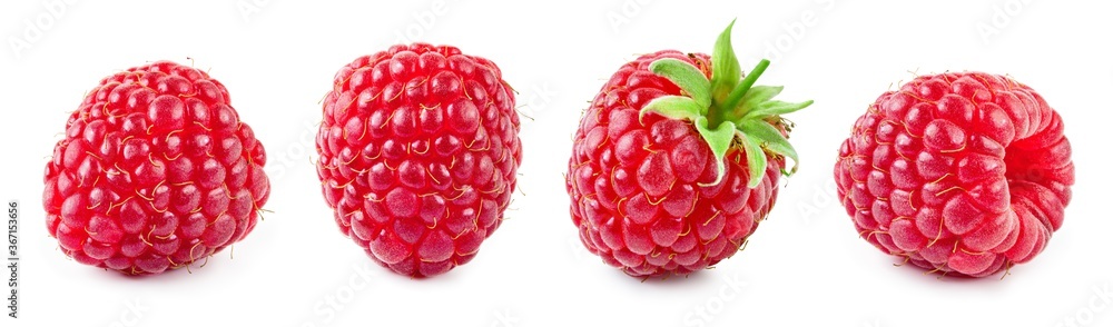树莓分离。带叶分离的树莓。带叶隔离的白色树莓。侧视图