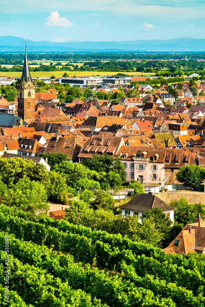 奥伯奈镇，位于法国下莱茵，拥有葡萄园