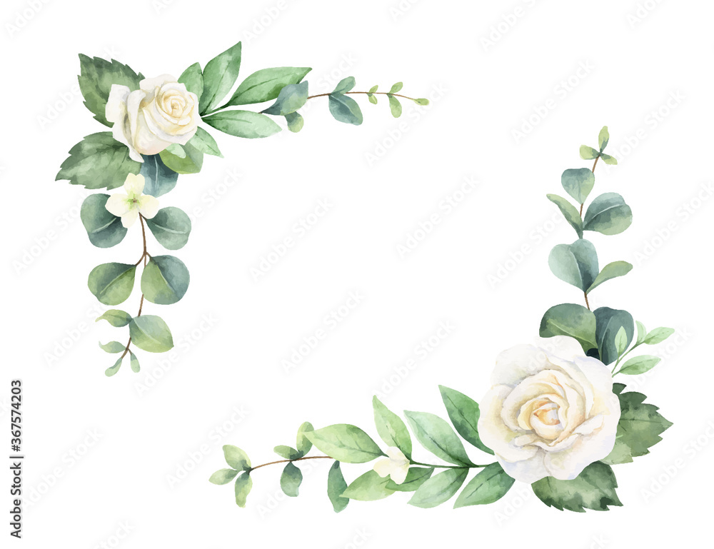 水彩矢量手绘花环，带有绿色桉树叶和白玫瑰。