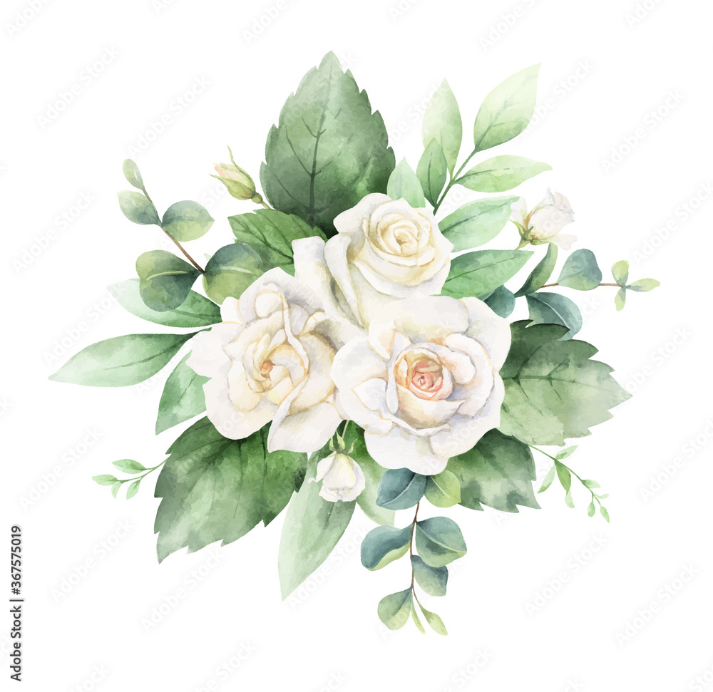 水彩矢量手绘花束，带有绿色桉树叶和白玫瑰。