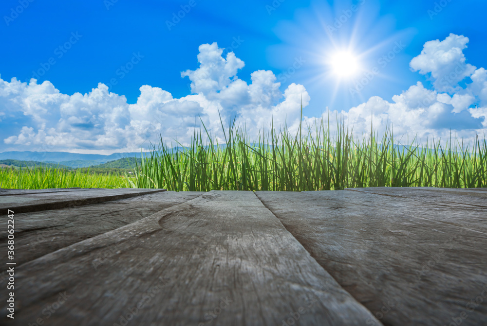 old brown wooden floor beside green rice field with blue sky and sun shines in the day
