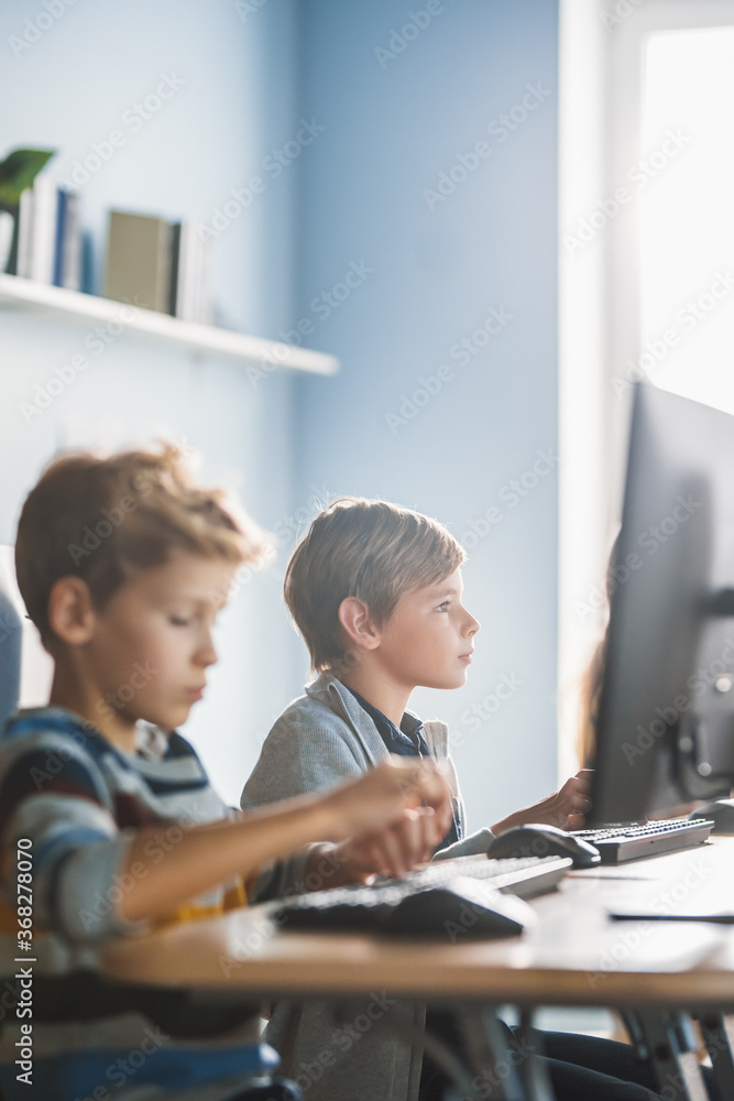 小学计算机科学课堂：聪明的小男孩在个人电脑上工作，乐