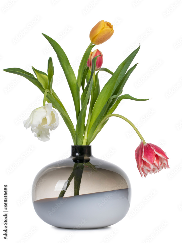 不同类型和颜色的郁金香在玻璃花瓶中的花束。在白色背景上隔离。