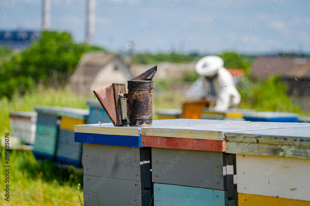 吸烟者在五颜六色的蜂箱前的特写。背景模糊的养蜂人。养蜂概念。