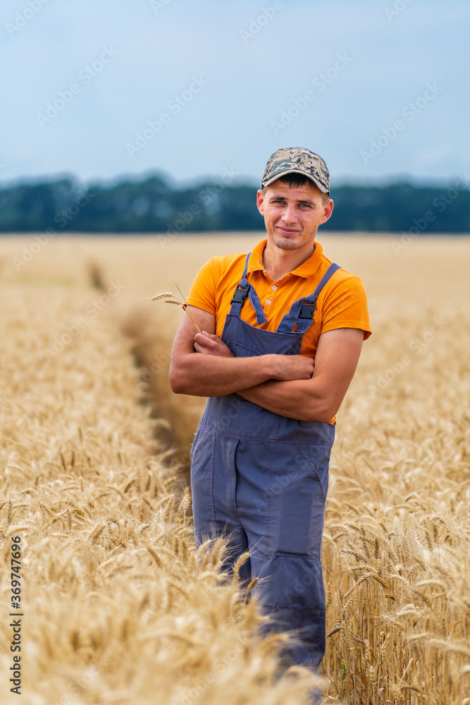 年轻的农民双手交叉站在金色的田野里。专业的农业工人在工作。