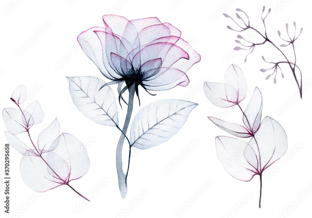 水彩画，一套透明的玫瑰花和桉树叶，床上用品颜色为粉色、蓝色。