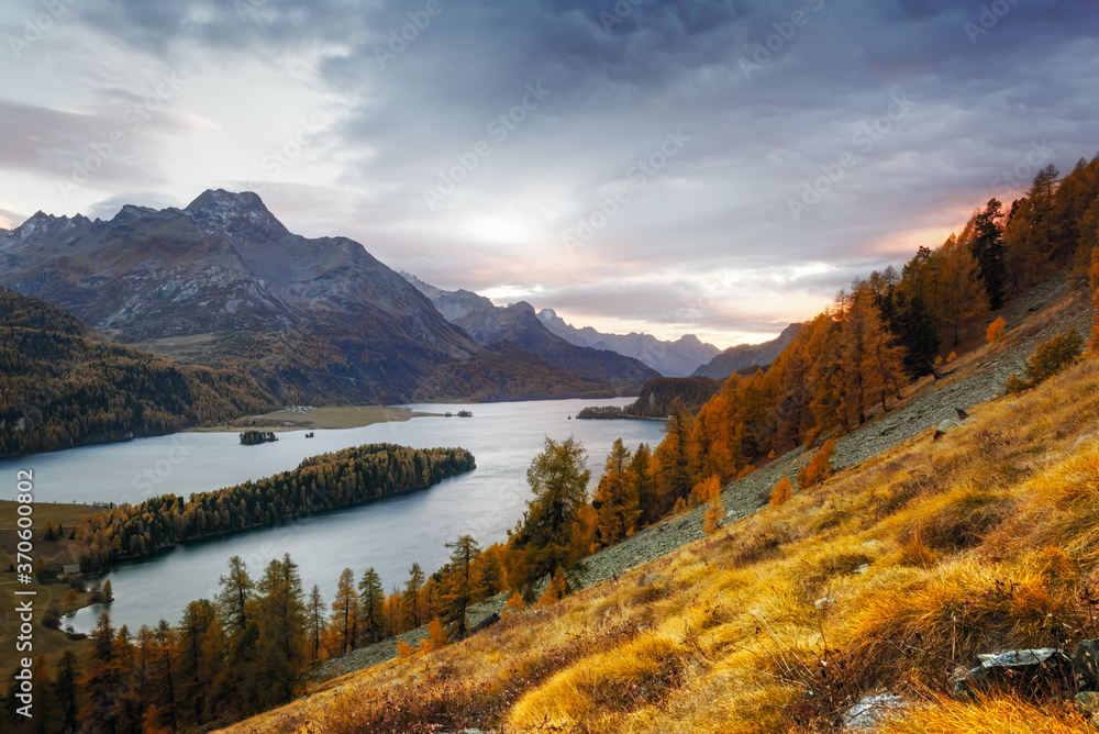 瑞士阿尔卑斯山秋季西尔斯湖（Silsersee）的壮丽景色。橙色l的彩色森林