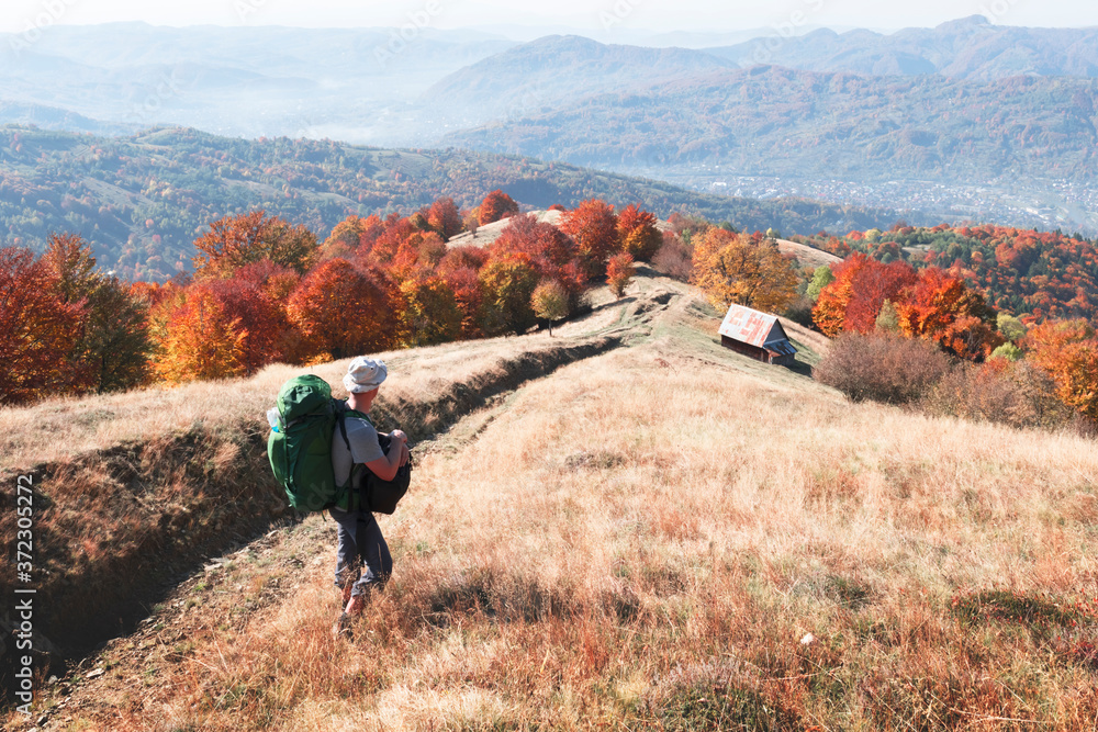 Backpacker at sunny autumn meadow with orange beech trees. Ukrainian Carpathians mountains. Landscap