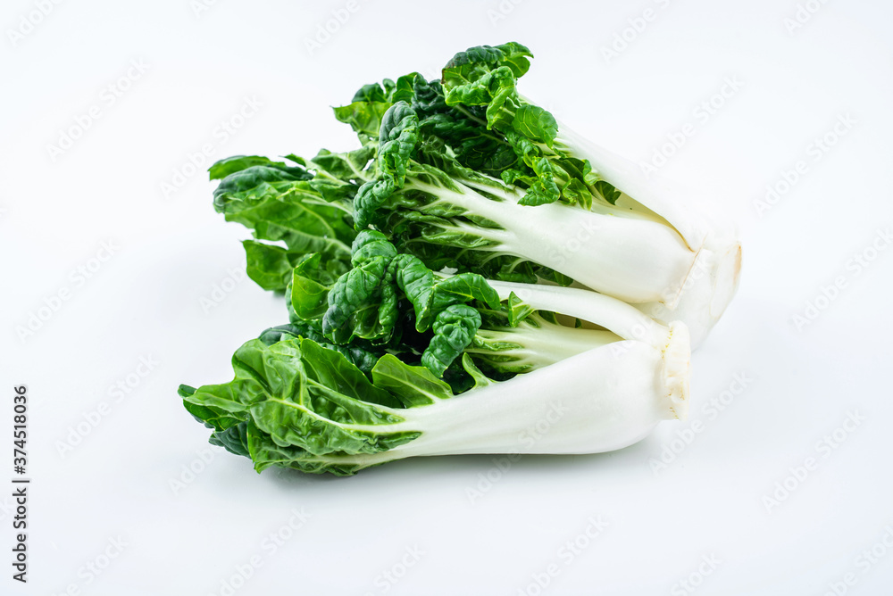 白底鲜蔬菜奶白菜