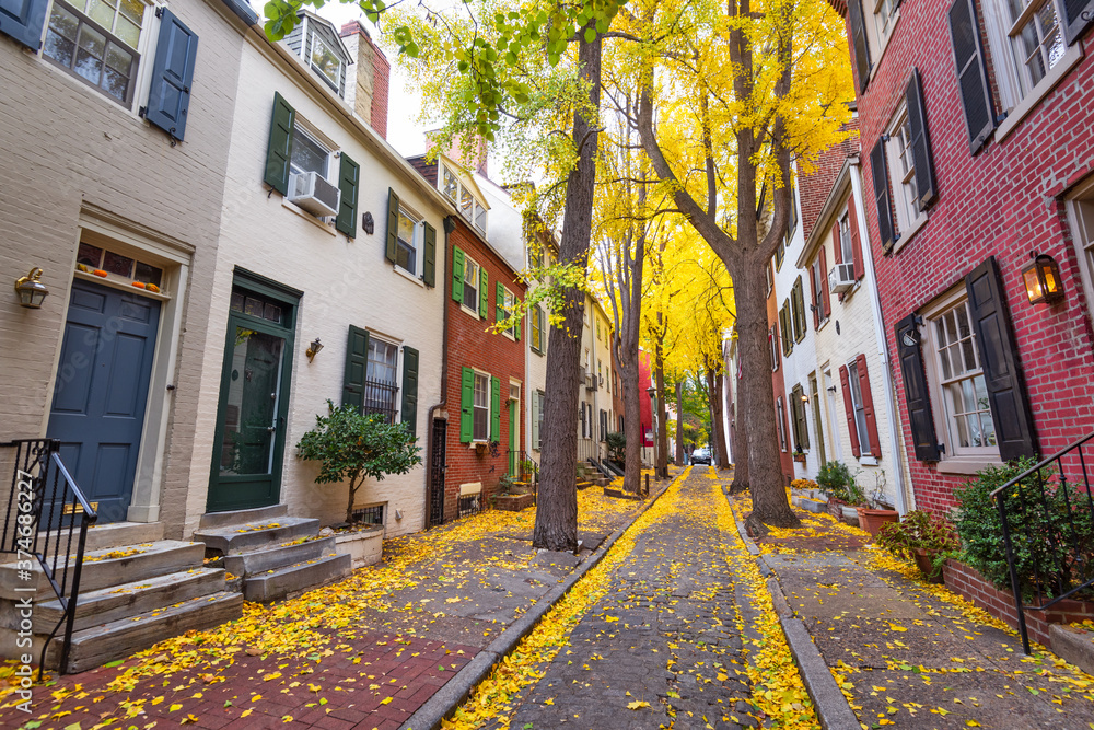 美国宾夕法尼亚州费城的秋季小巷