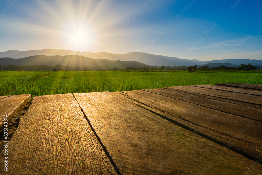 old brown wooden floor beside green rice field in the evening and beam sunset