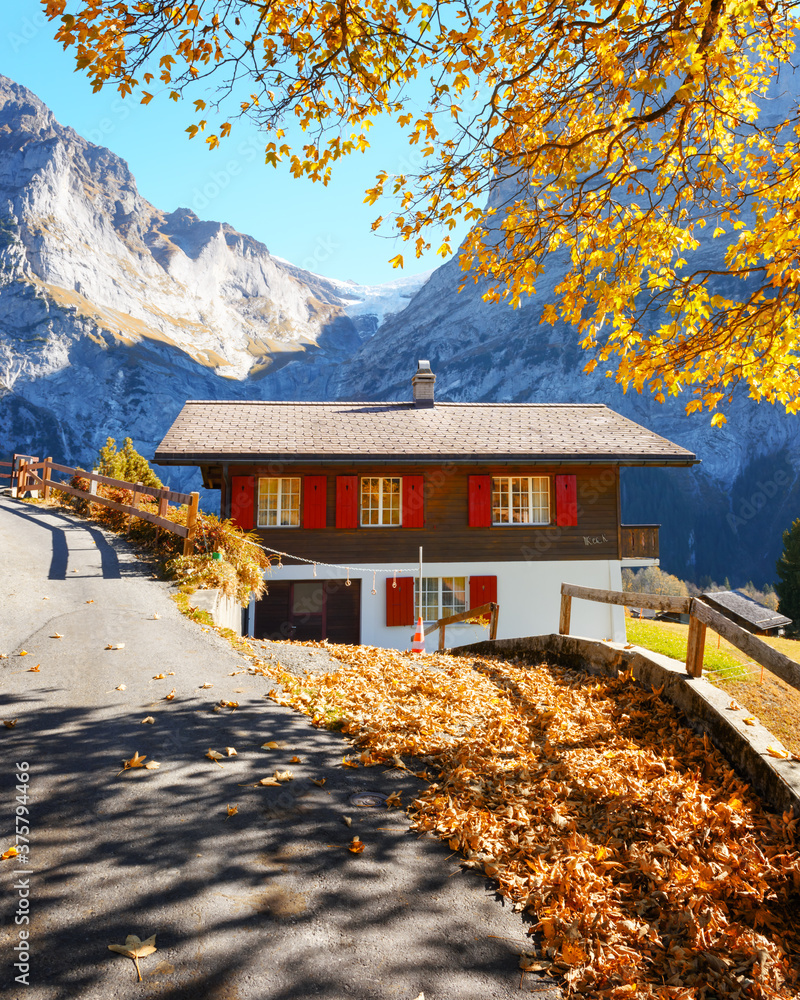 Amazing autumn landscape in Switzerland mountains. Traditional wooden house and yellow leaves in Gri