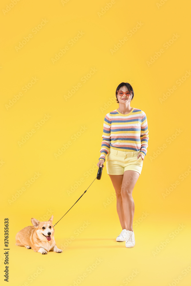 彩色背景上带着可爱柯基犬的女人