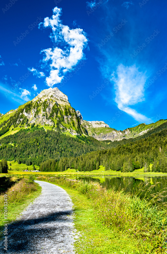 瑞士阿尔卑斯山Obersee湖的Brunnelistock山景观