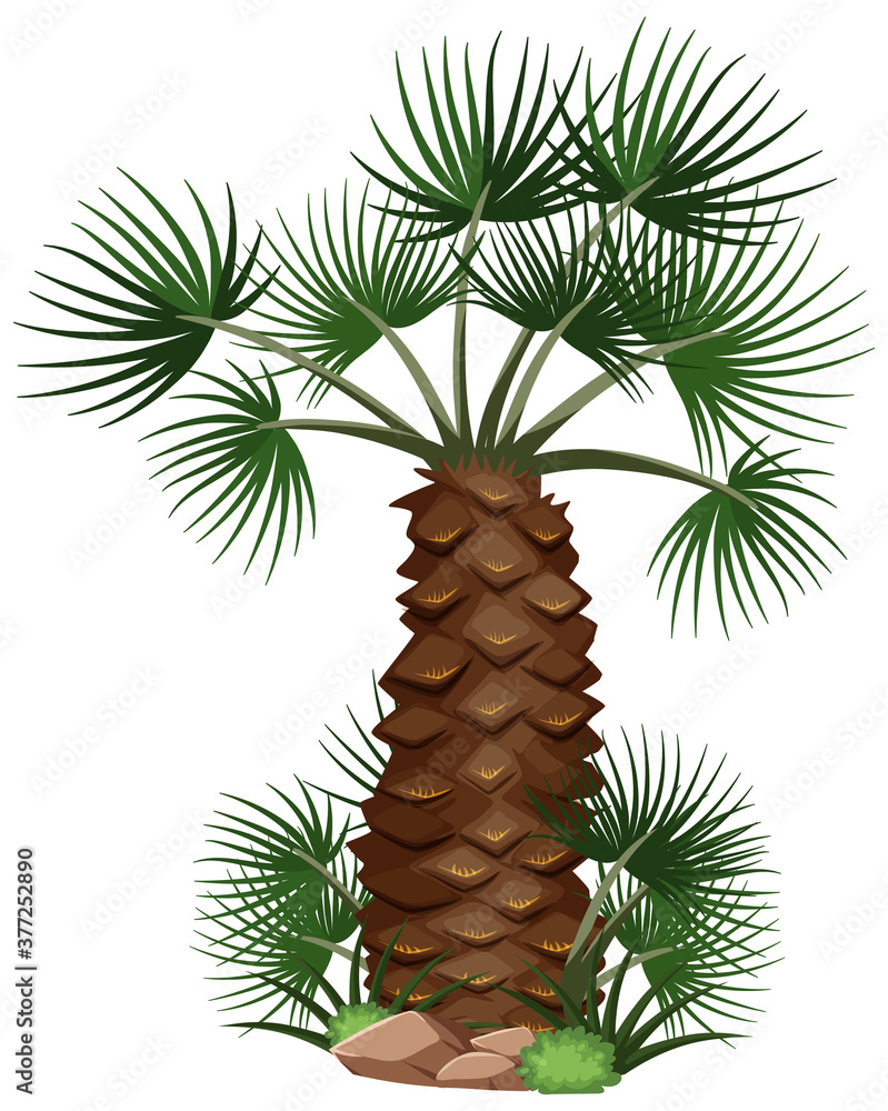 Palm trees with nature elements on white background