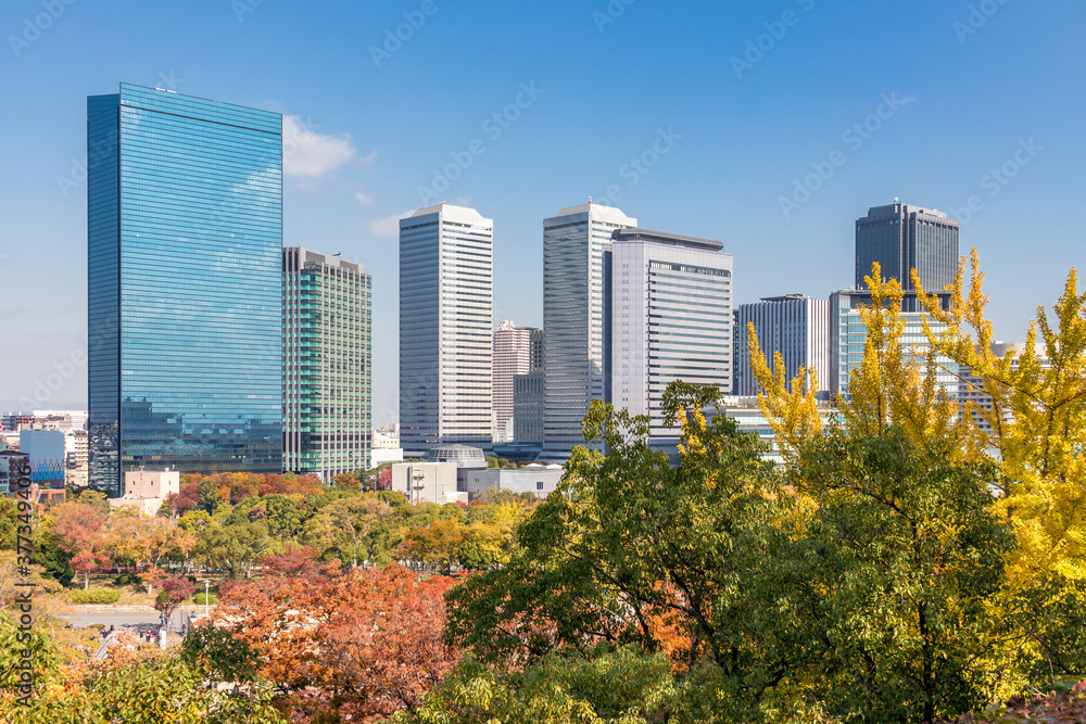 秋天大阪美丽的城市景观，一组摩天大楼，前景是五颜六色的树林和蓝色