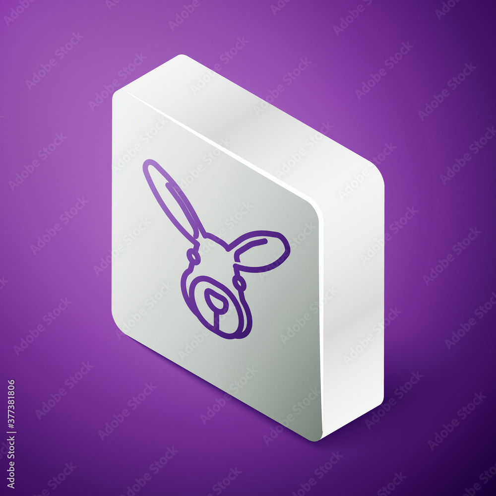 等距线兔头图标隔离在紫色背景上。银色方形按钮。矢量。
