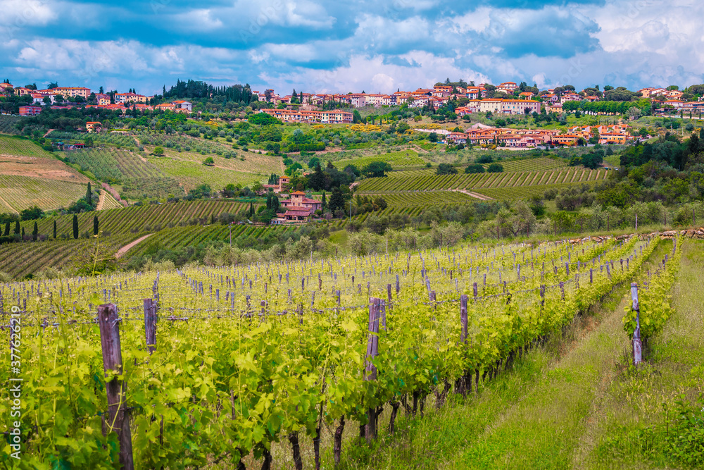 奇安蒂地区，托斯卡纳，意大利，欧洲，拥有壮观城市景观的令人惊叹的葡萄园