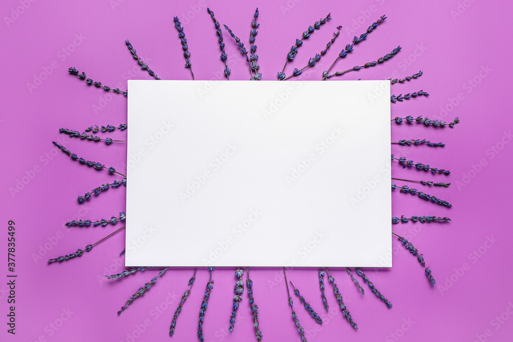 美丽的淡紫色花朵和彩色背景上的空白卡片