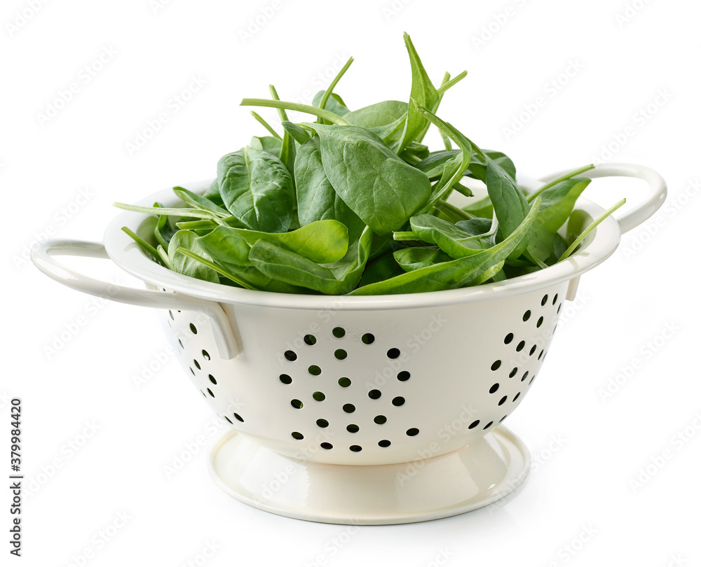 fresh spinach leaves in white colander isolated on white background