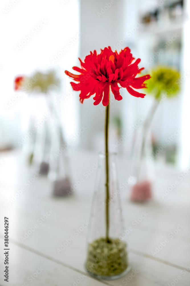 Red flower as decorative elements