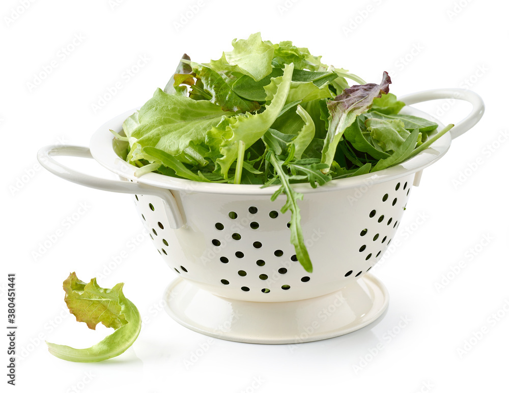 fresh green lettuce leaves in colander