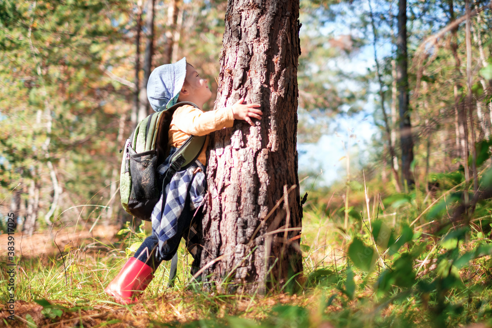 Small kid in yellow sweater hugs a pine tree in autumn forest. Childhood with nature loving concept